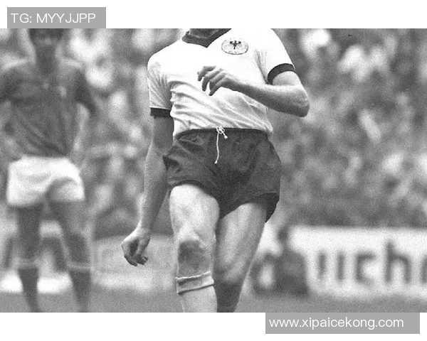 足球巨星璀璨之路：纵论50位足球球星的传奇人生