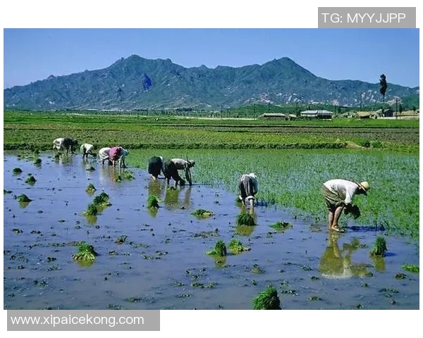足球球星竟然亲自下田干农活 看他们如何与土地亲密接触 足球球星竟然亲自下田干农活 看他们如何与土地亲密接触